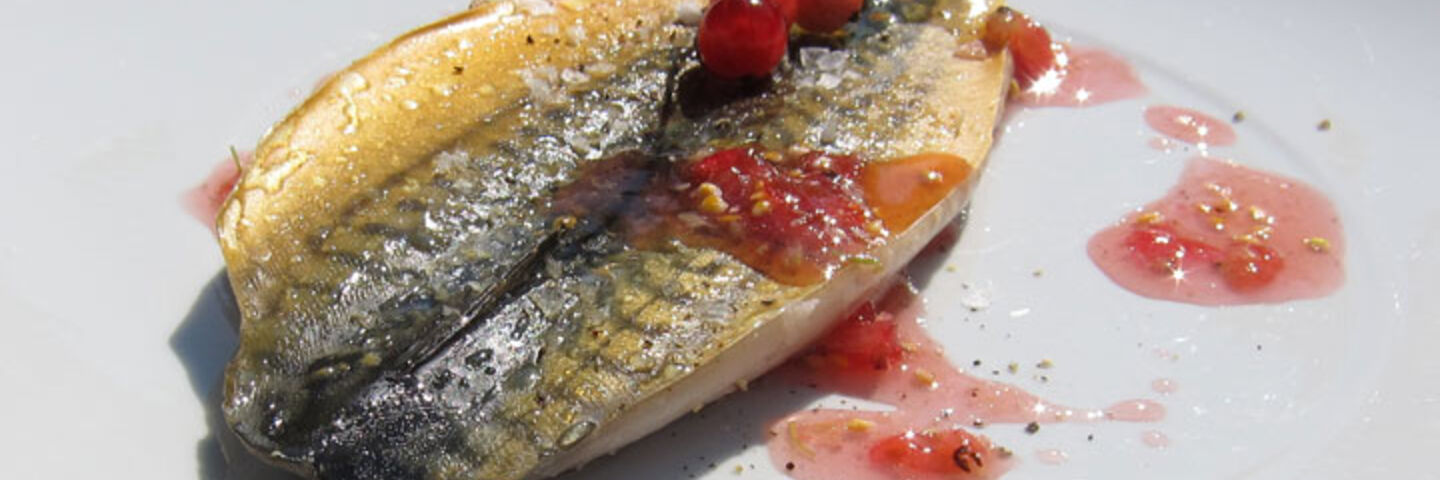 Smoked Mackerel with Redcurrant Sauce