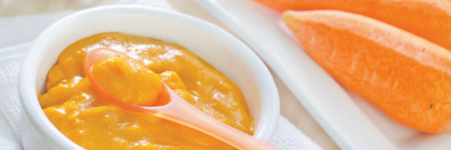 Simple Carrot Puree
