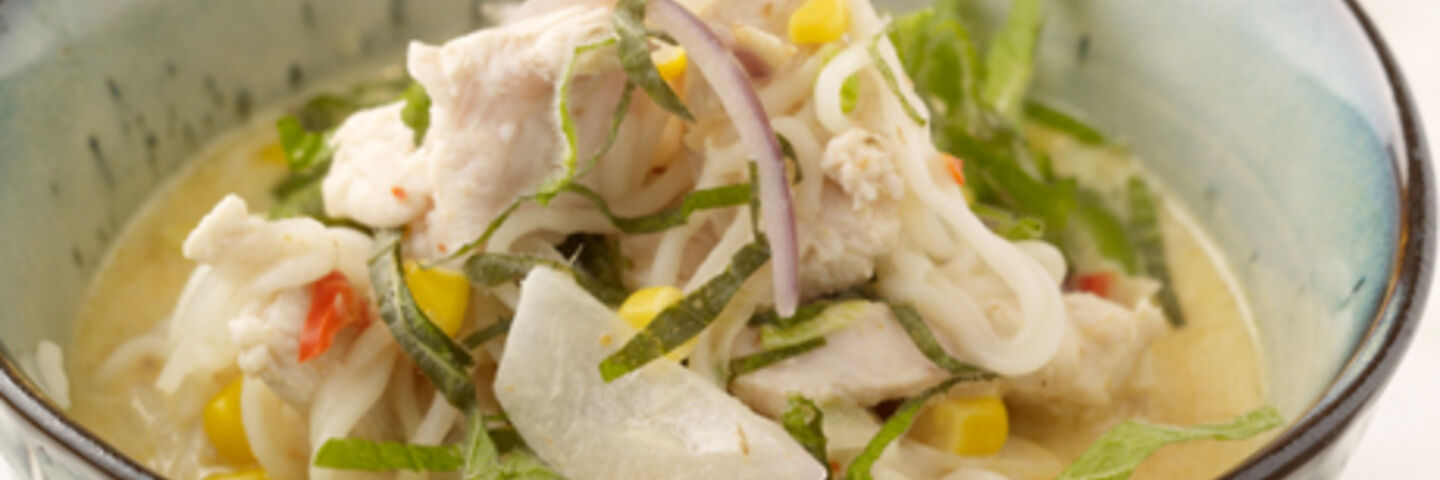 Coconut Chicken Noodle Soup