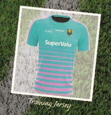SuperValu GAA Training Jersey