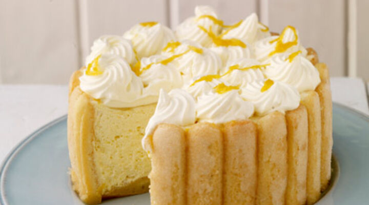 Lemon Charlotte Mascarpone