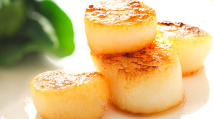 Pan Seared Scallops with Fennel Salad