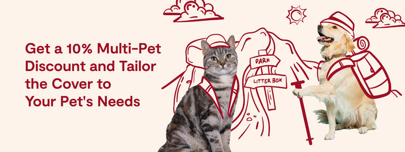 SuperValu Insurance Pet with 10% Multi Pet Discount Offer Image