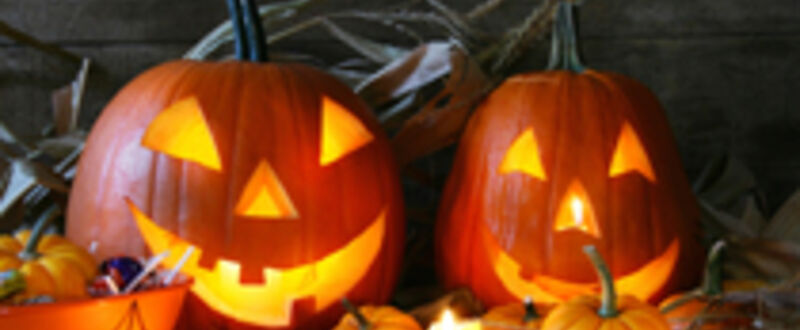 Pumpkins teaser