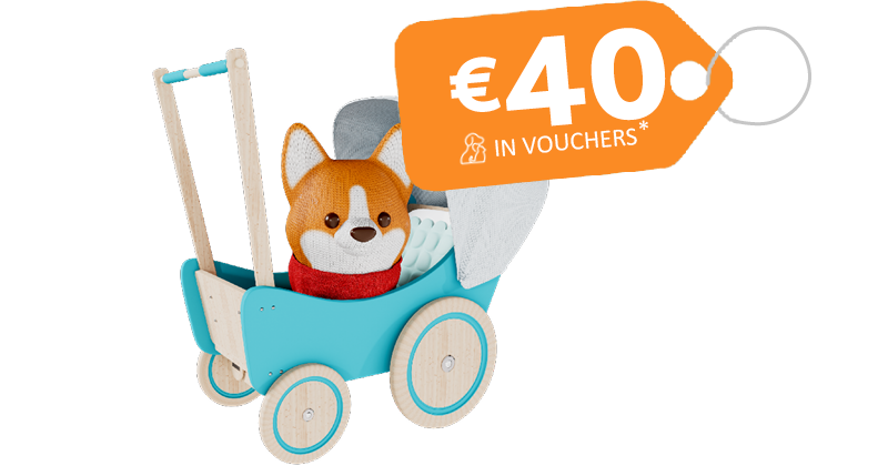 SuperValu Pet Insurance with €40 in vouchers offer image