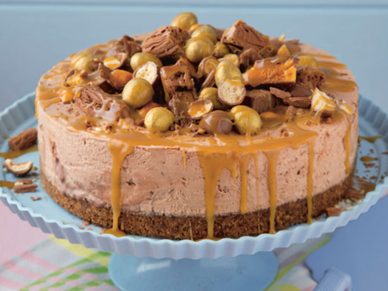 Chocolate Ice-Cream Cake