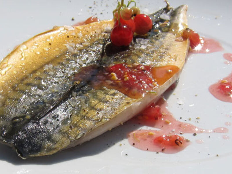 Smoked Mackerel with Redcurrant Sauce